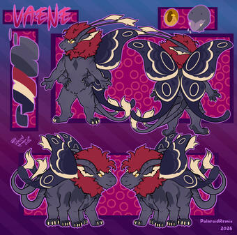 ref- different front/back