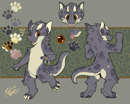 ref- different front/back ref- different front/back